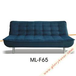 ML-F65